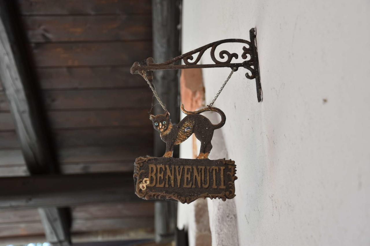 B&B La Dolce Vita Priocca Eksteriør billede